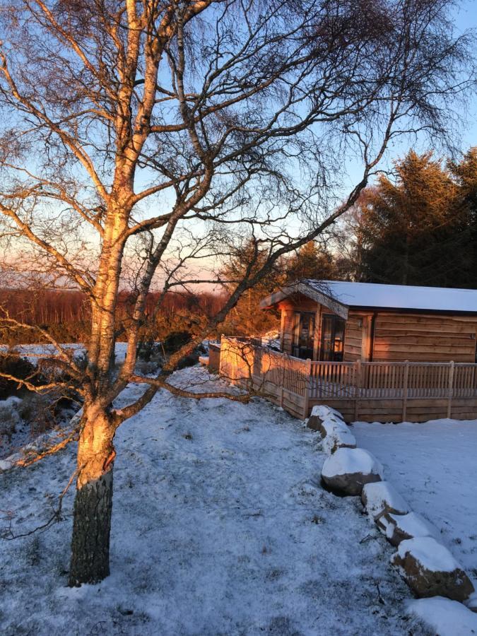 Burgie Woodland Lodges Forres Buitenkant foto